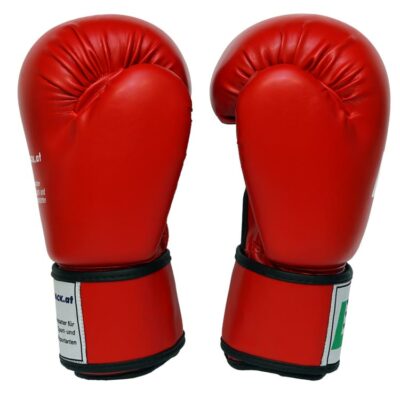 Rückansicht der roten POWER – FIT Boxhandschuhe, Österreich.