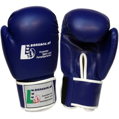 Rückansicht der blauen POWER – FIT Boxhandschuhe, mit Klettverschluss und Kunstledermaterial, Österreich.
