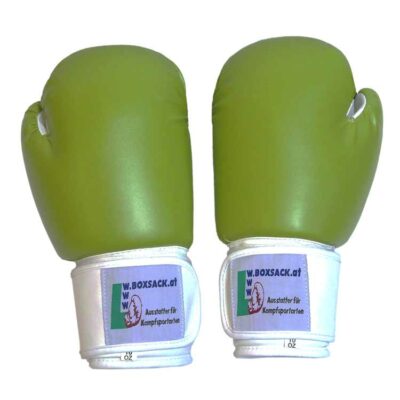 Boxhandschuhe GREEN APPLE aus strapazierfähigem Kunstleder Bild b