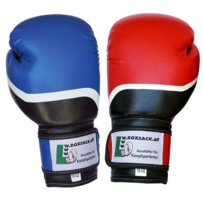 Boxhandschuhe Hybrid in Blau-Schwarz, strapazierfähiges PU-Material, ideal für Allround-Training und Sparring.