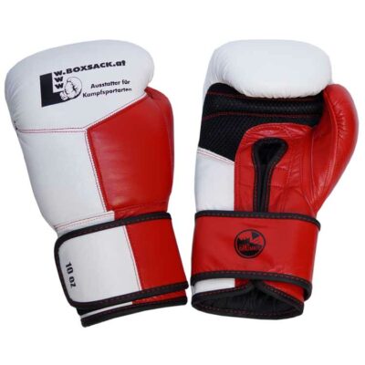Boxhandschuhe MESCH STYLE PREMIUM aus strapazierfähigem Rindsleder mit Mesh Bild c