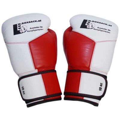 Boxhandschuhe MESCH STYLE PREMIUM aus strapazierfähigem Rindsleder mit Mesh Bild b