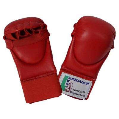 Karate Faustschützer in verschiedenen Größen und Farben typ d