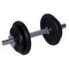 10 kg Kurzhantel mit Guss-Hantelscheiben und Sternverschlüssen, ideal für Krafttraining.