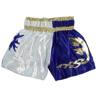 Rückseite der Muay Thai Shorts in Blau-Weiß mit goldenen Details und elastischem Bund.