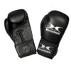 kinderboxhandschuhe blitz hammer boxing aus hochwertigem und strapazierfähigem pu-material, mit 3-schichten polsterung.